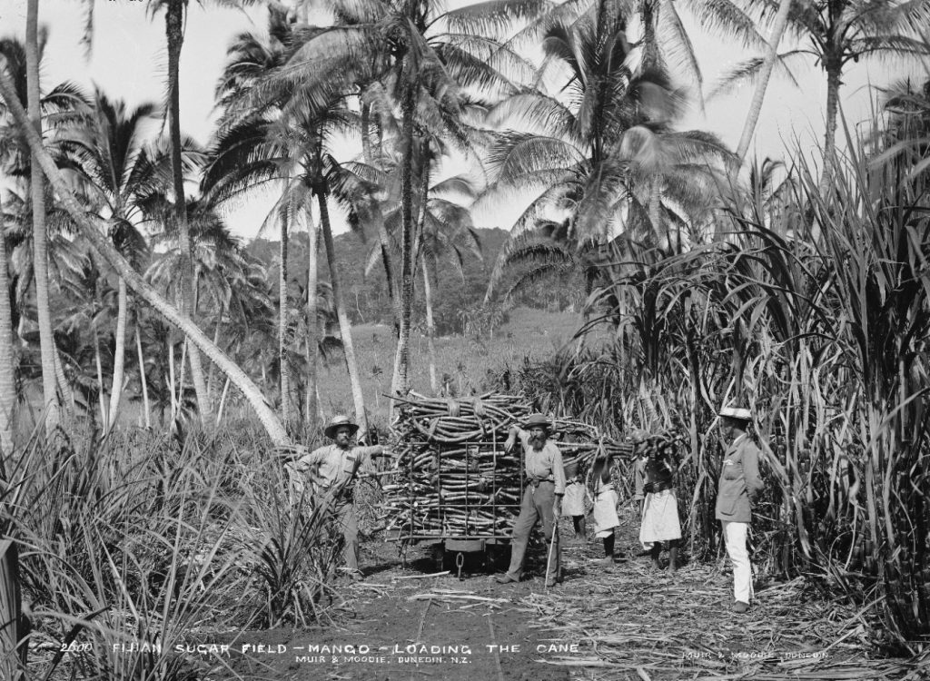 cane mago island